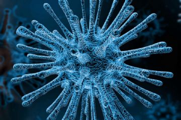 EMERGENZA CORONAVIRUS COVID-2019